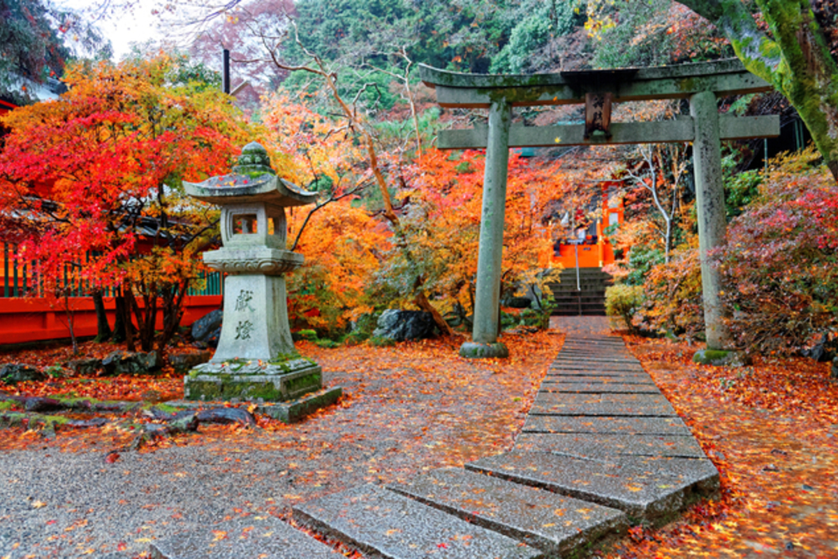 秋の神社