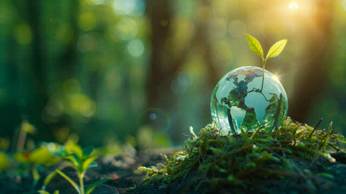 クリスタルの地球儀と自然