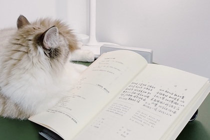 癒される"猫モチーフ"の文具特集。大人に似合うおしゃれアイテムを厳選してご紹介