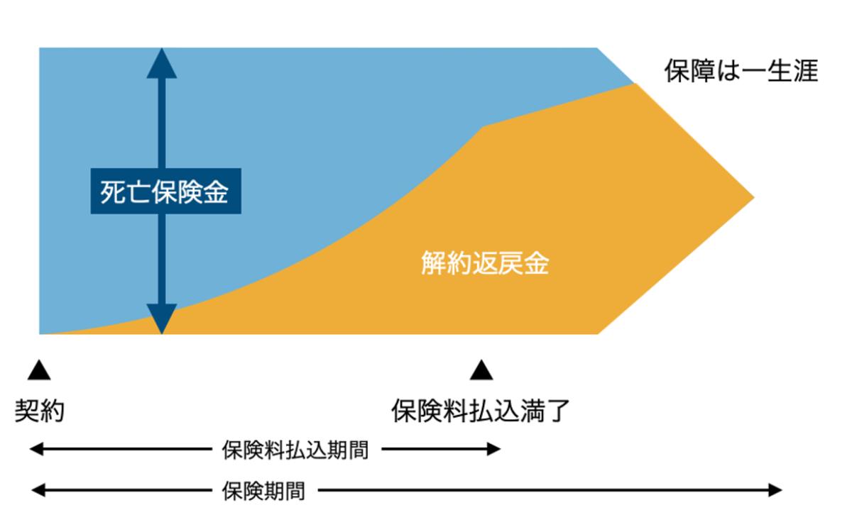 生命保険にはどんな種類がある？FPが基本から教える保険種類別の特徴と選び方（3ページ） | ほけんのコンサルブログ