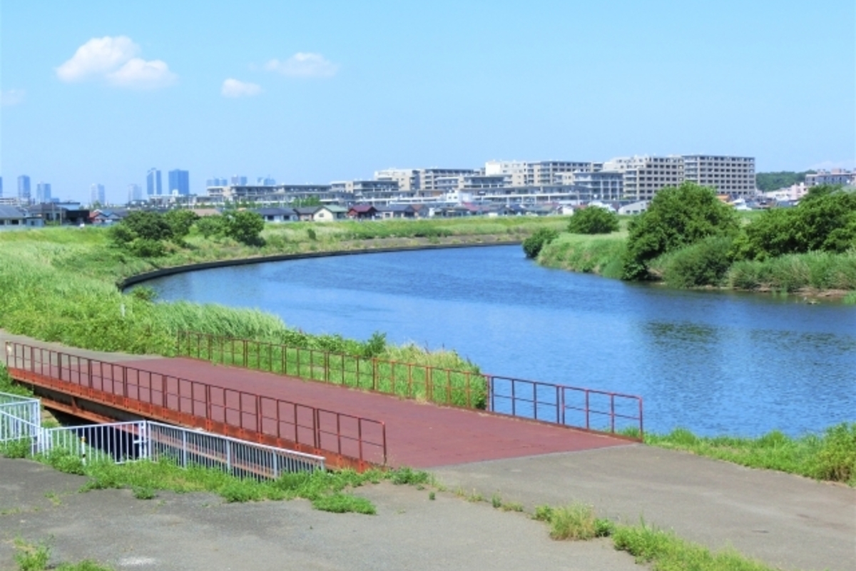 神奈川県のシーバスポイント15選!横須賀や横浜沖・湘南などの人気釣りスポット情報