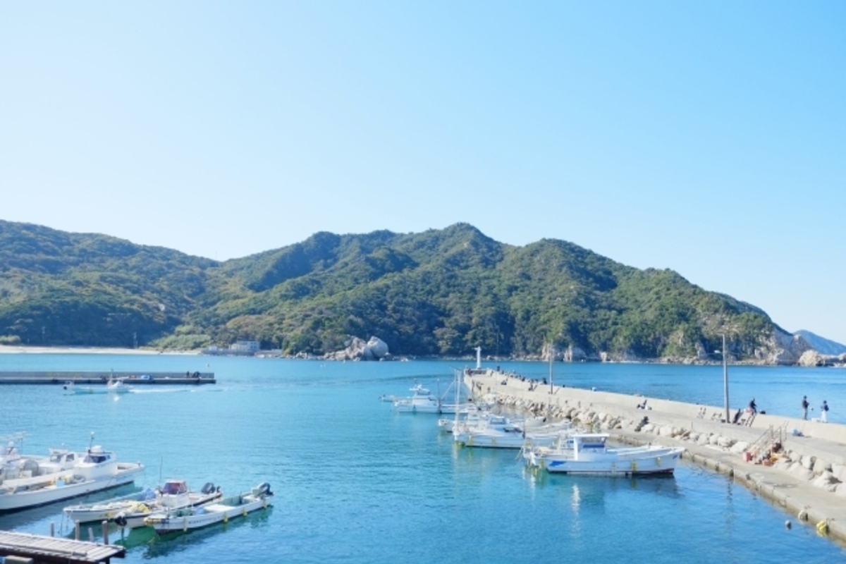 福岡県のアオリイカのポイント5選!エギングを楽しもう