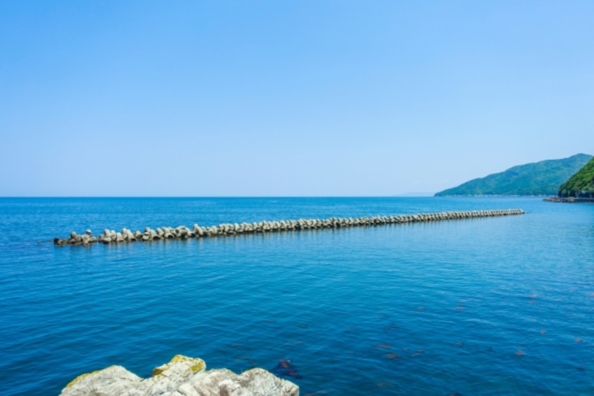 徳島県のシーバスポイント6選!徳島のデイゲームやおかっぱりで人気スポット情報