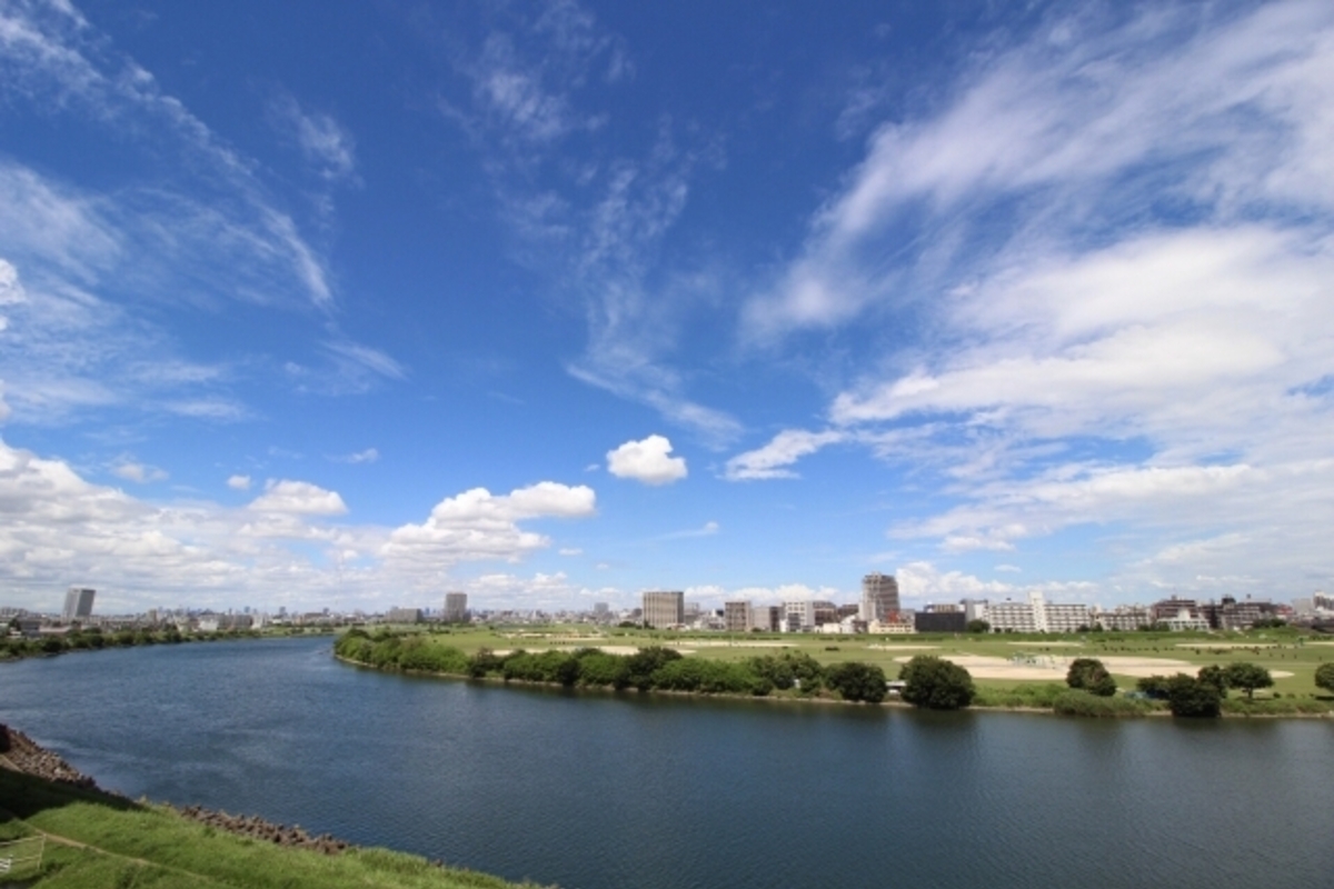 多摩川のシーバスポイント情報まとめ!初めて行く人にゼロから攻略法を解説