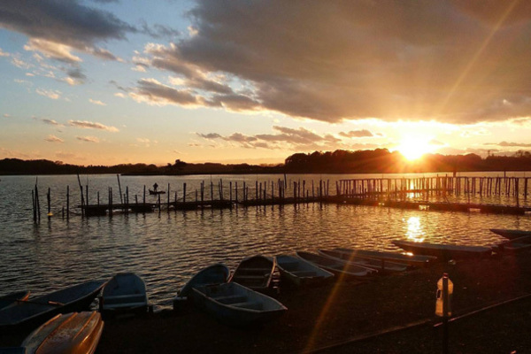 多々良沼のバス釣りポイント情報まとめ 初めて行く人にゼロから攻略法を解説 Activel