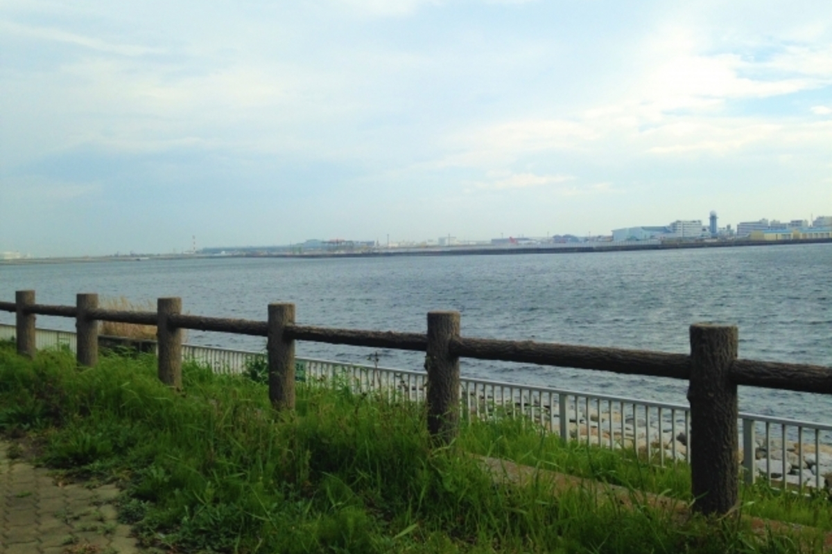 京浜島つばさ公園の釣りポイント4選!釣果をあげる攻略法とは?