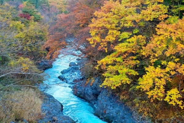 大谷川のおすすめ釣りポイントとは トラウト釣りを楽しもう Activel