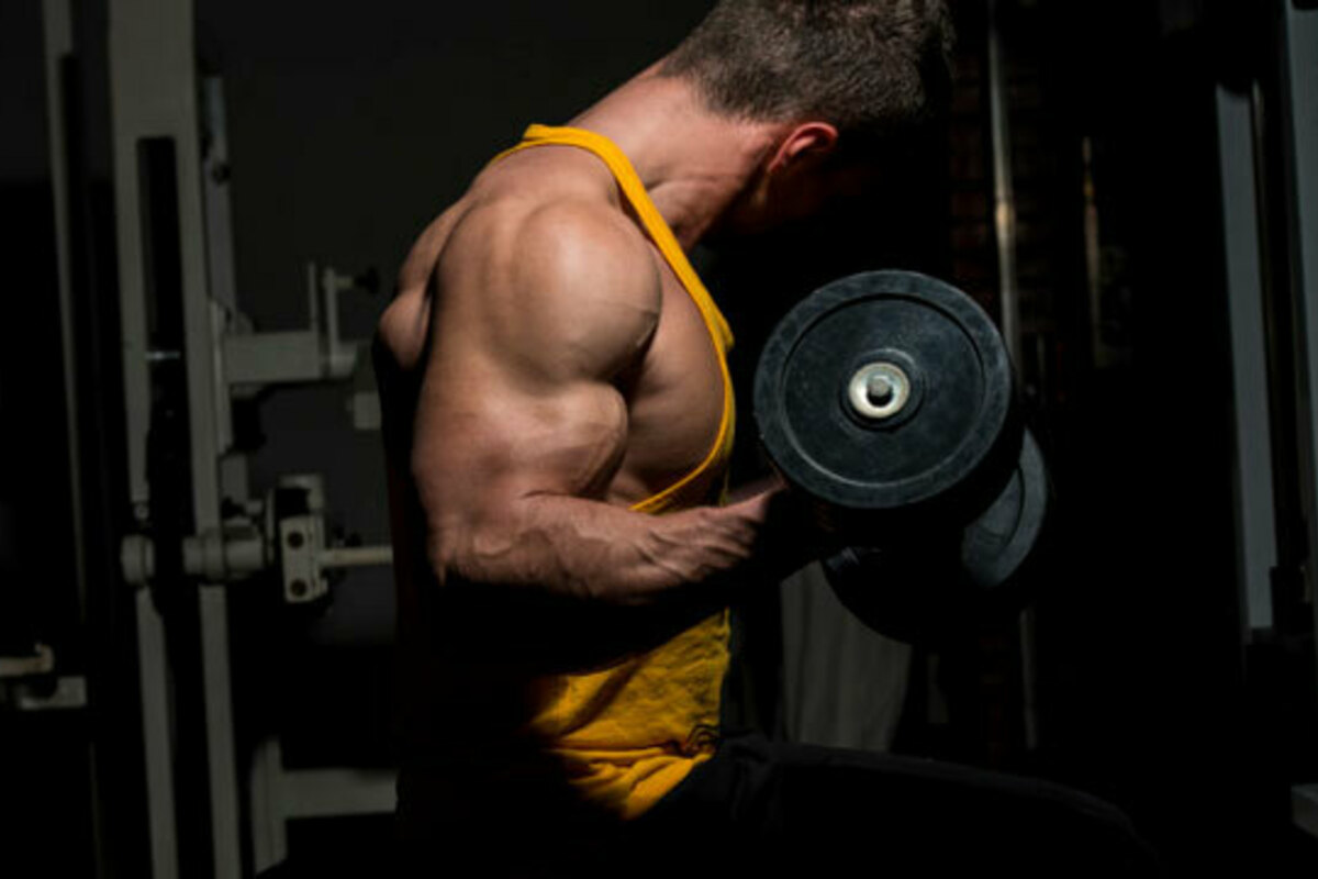 三角筋の筋トレ方法とは?肩の筋肉の鍛え方とトレーニングメニューを解説!
