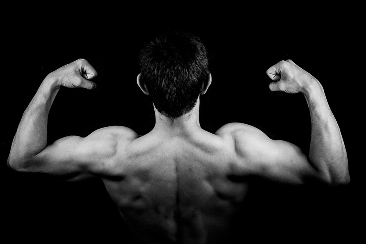 広背筋を自重で鍛える10の鍛え方!自宅でできるトレーニングも紹介