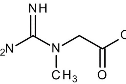 クレアチンの腎臓と肝臓への影響は？気になる疑問を解決！