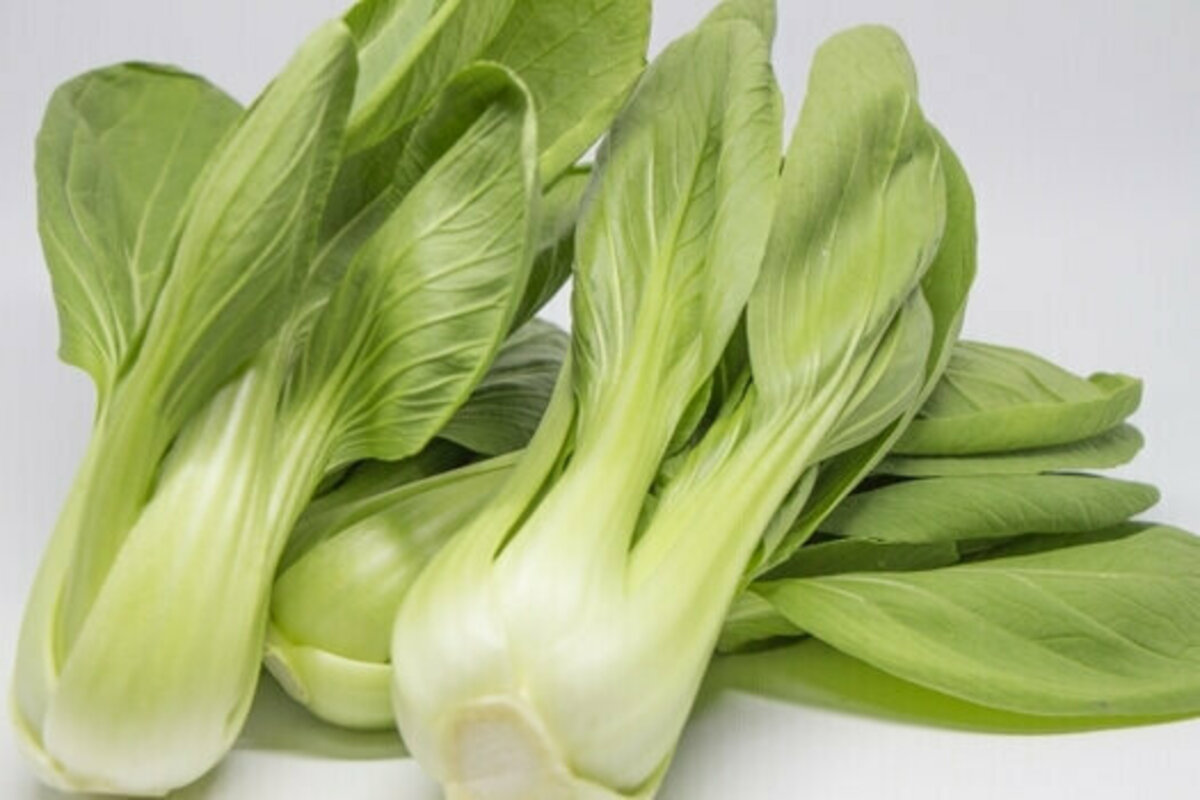チンゲン菜はダイエットにおすすめ!チンゲン菜の効果・おすすめレシピを解説