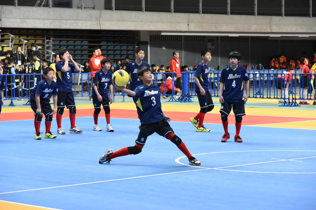 ドッジボールの大会情報まとめ!全国大会やその他の大会など【2017年度】