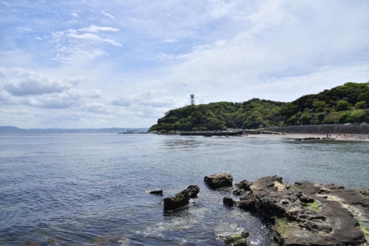横須賀市の釣り場10選!おすすめのポイント別に釣れる魚と釣果を紹介!