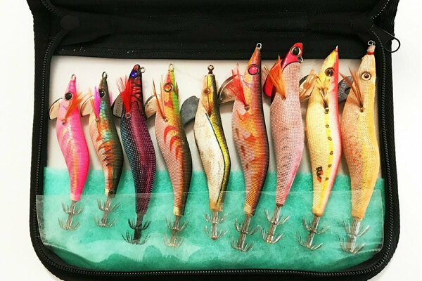 エギング初心者は仕掛けをどうしたらいいの 簡単な作り方とタックルが知りたい Activel