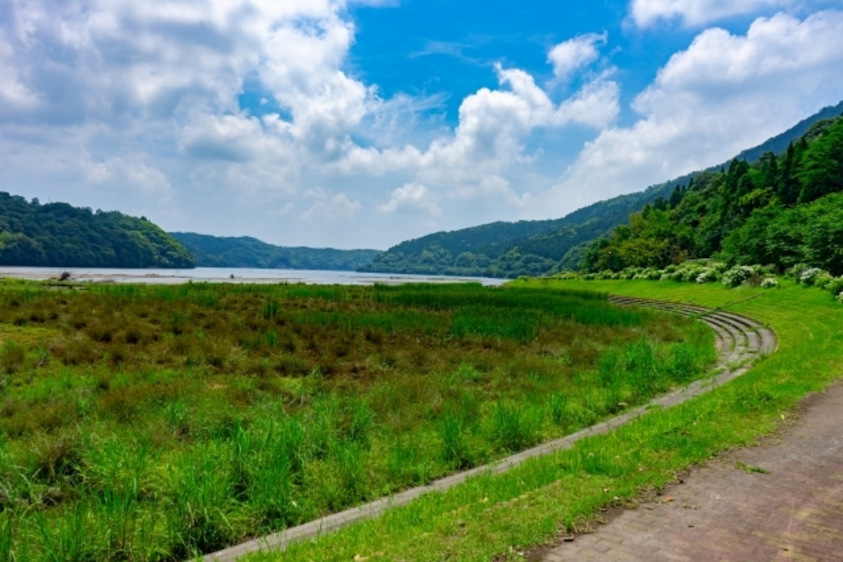 鹿児島県のバス釣りポイント8選!初めて行く人はどこがおすすめ?【釣り場情報】
