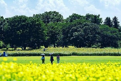 キャッチボールできる公園7選！大きい公園で親子で野球しよう【東京・神奈川など】