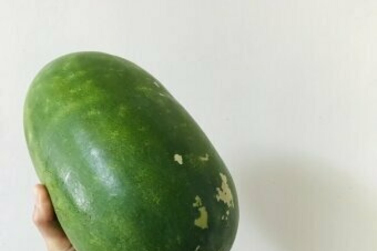 とうがんはダイエットおすすめ?冬瓜の効果・おすすめレシピを解説