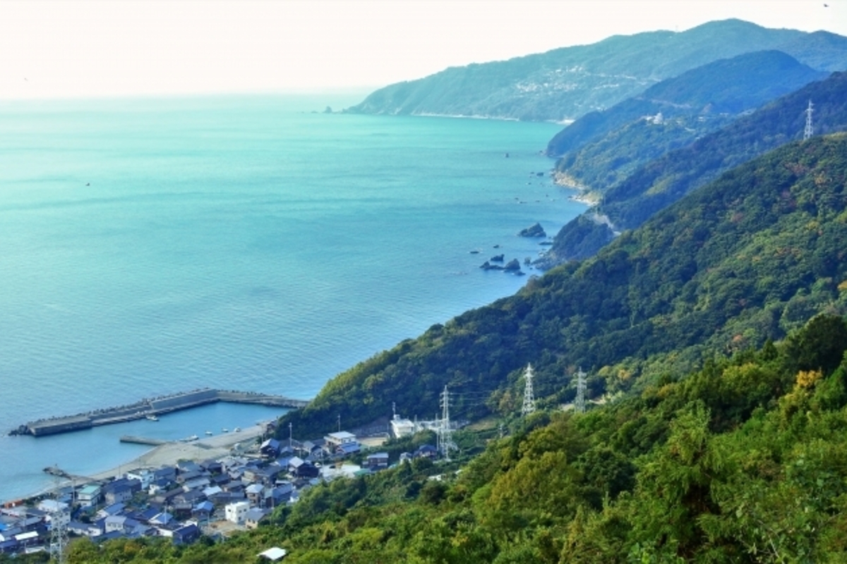 愛媛県のアオリイカのポイント6選!エギングを楽しもう