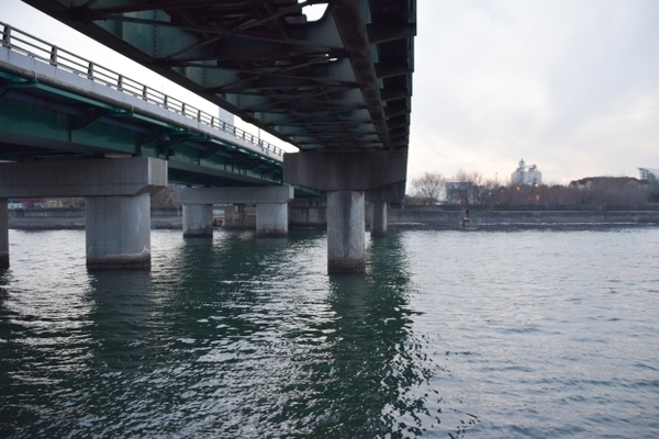 名古屋のシーバスポイント7選 名古屋港などのデイゲームやおかっぱりで人気スポット情報 Activel