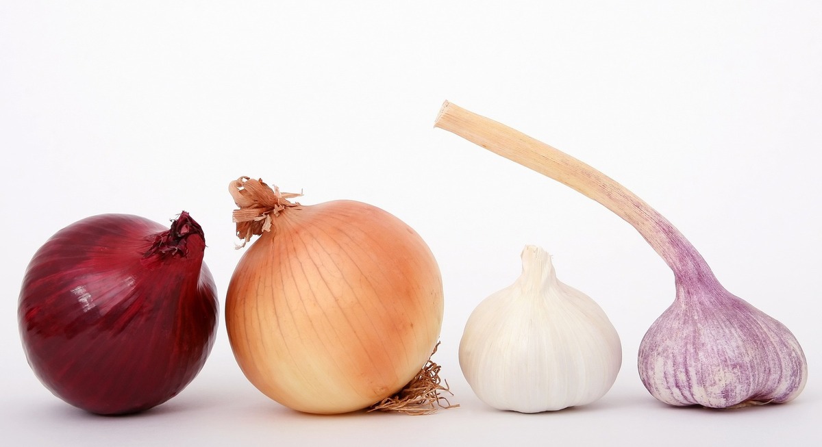 野菜