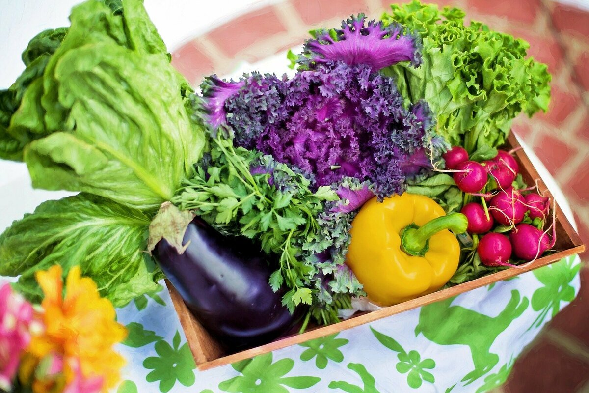 市場に出回らない"規格外野菜"とは?日本農家の現状と再利用のための取り組みをご紹介