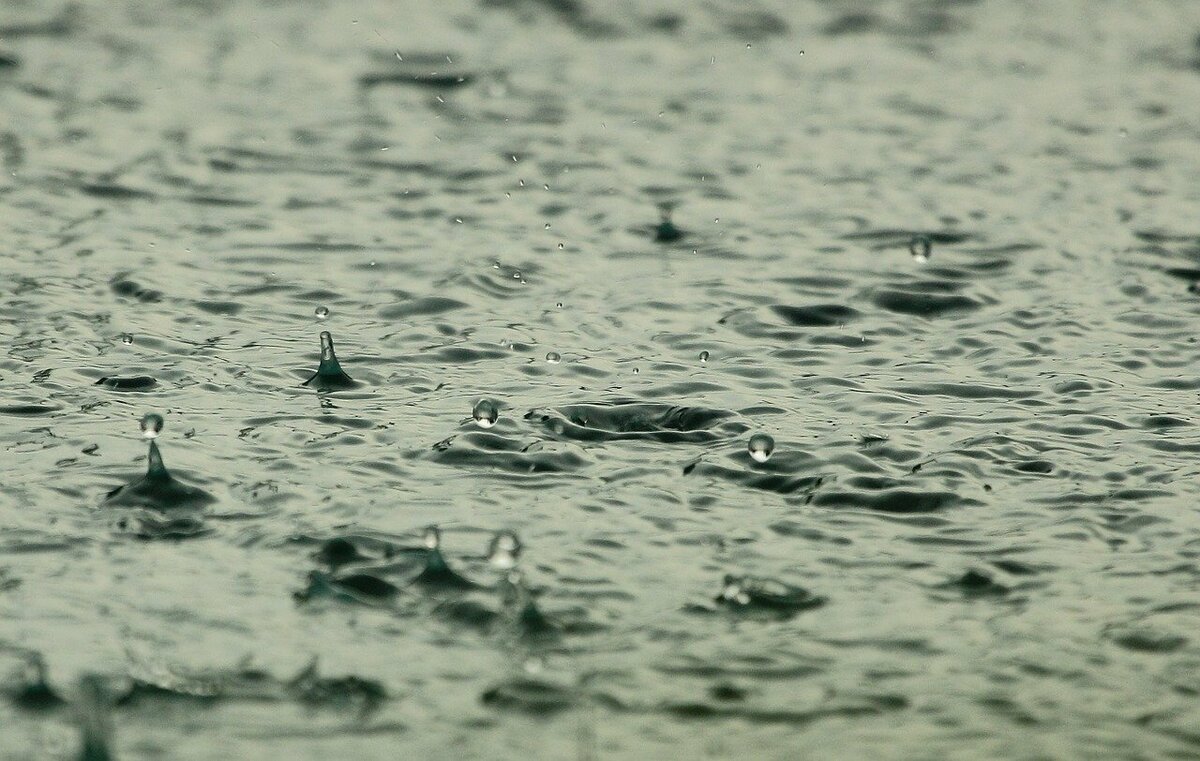 雨の雫