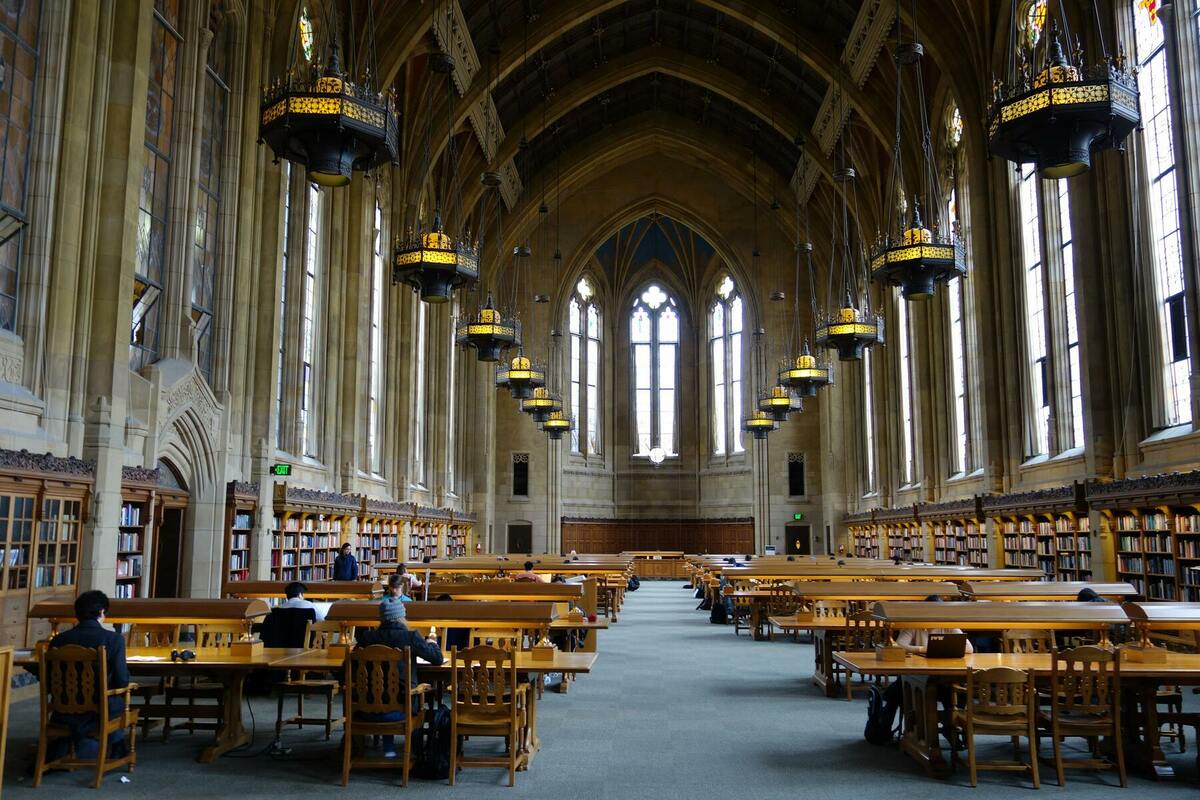 大学
