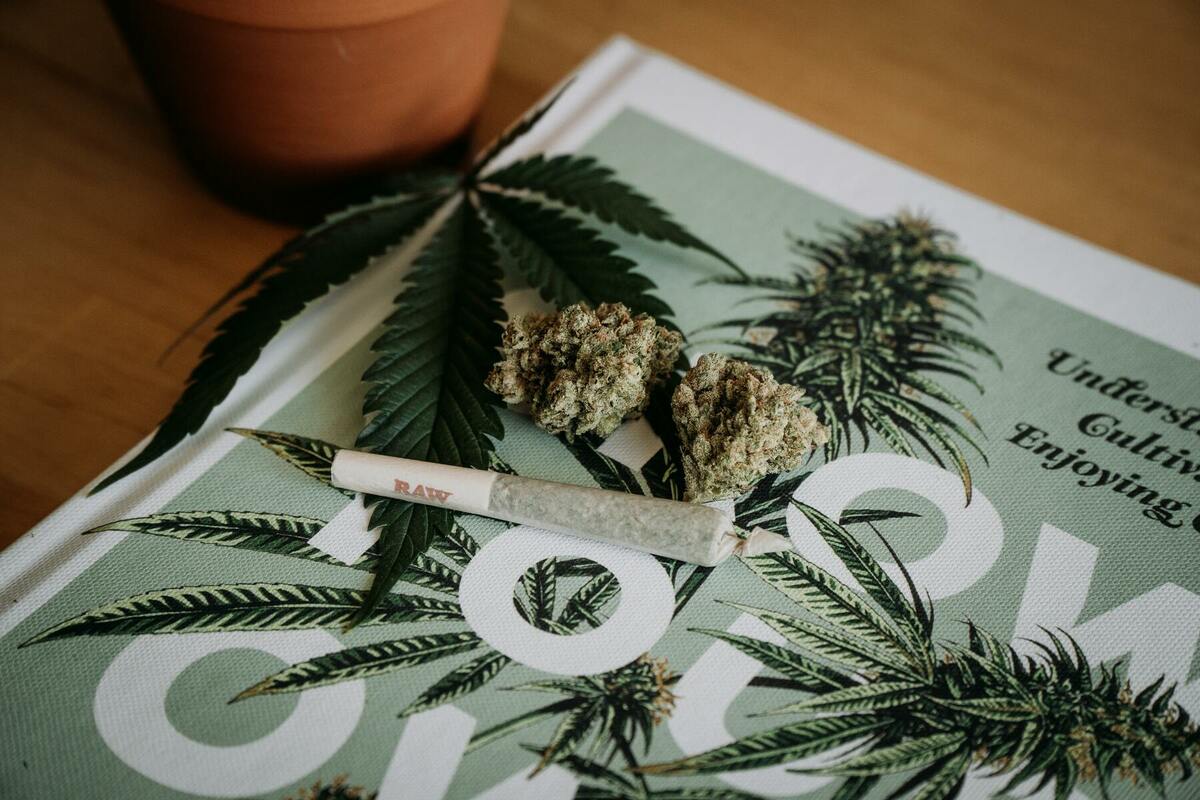 成分