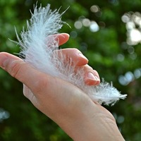 世界で活躍する日本人女性たち 海外へ羽ばたいた彼女達の勇気をくれるエピソード My Muse 世界で活躍する日本人女性たち 海外へ羽ばたいた彼女達の勇気をくれるエピソード My Muse