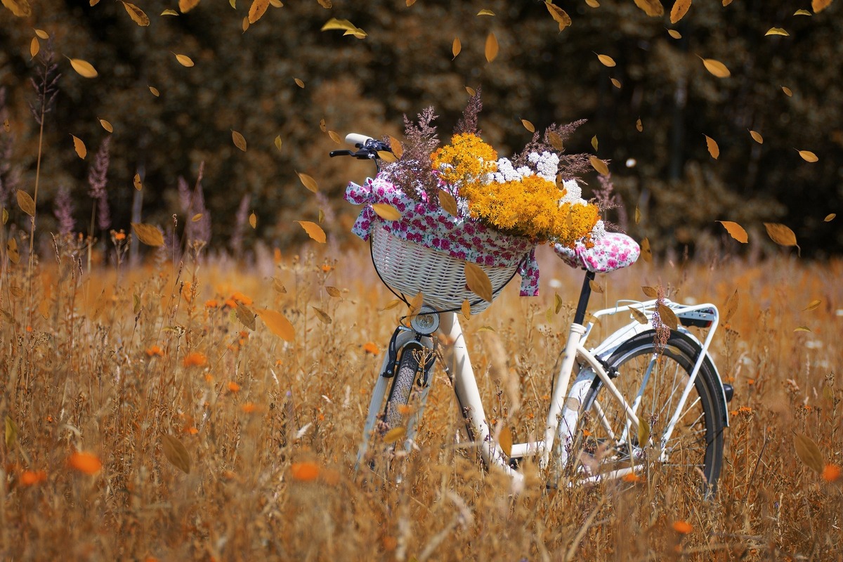 自転車