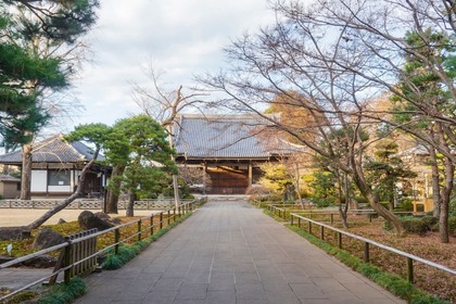 菩提寺とは？押さえておきたい言葉の意味や「檀家」との違いをわかりやすく解説