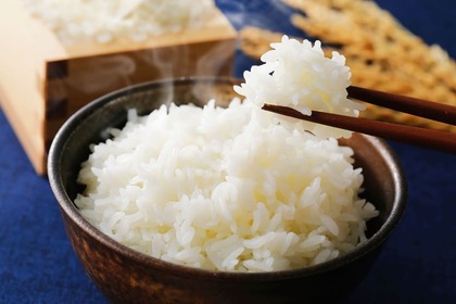 高齢者のご飯の量は何グラム？食事例や目安となる摂取カロリーも解説