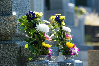 お墓に供える花の金額はどのくらい？人気の種類や選び方のポイントをご紹介