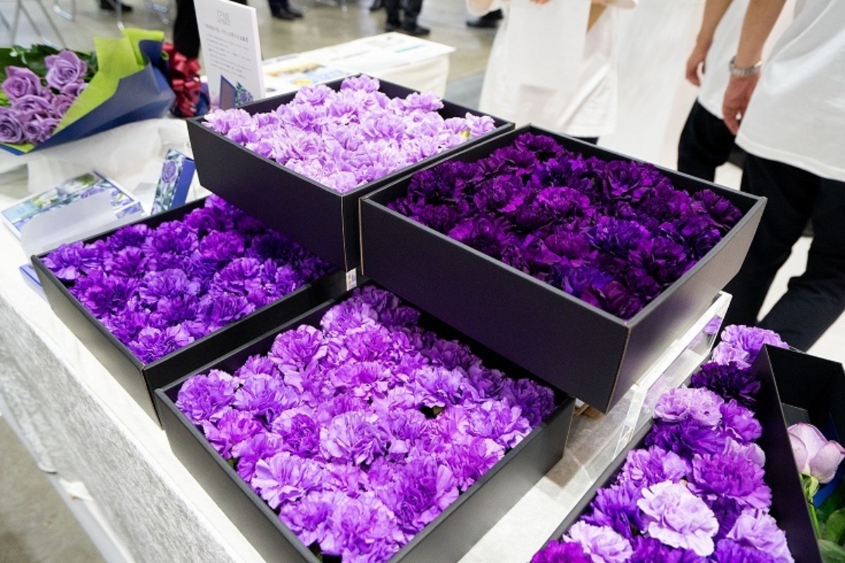 世界初の青いカーネーション「ムーンダスト」