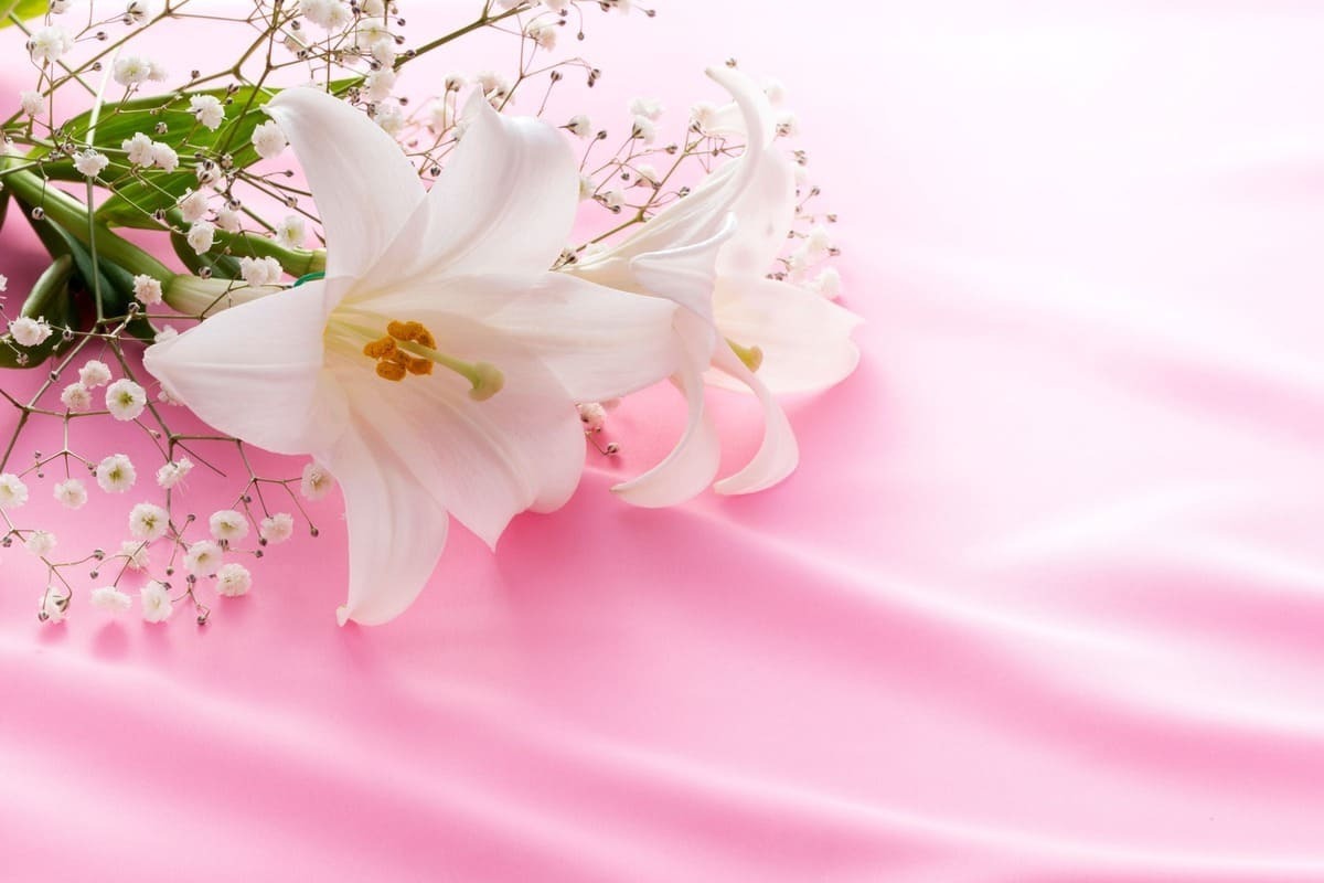 【葬儀に参列できない場合のメール例文】連絡を送る相手別の注意点やマナーを紹介