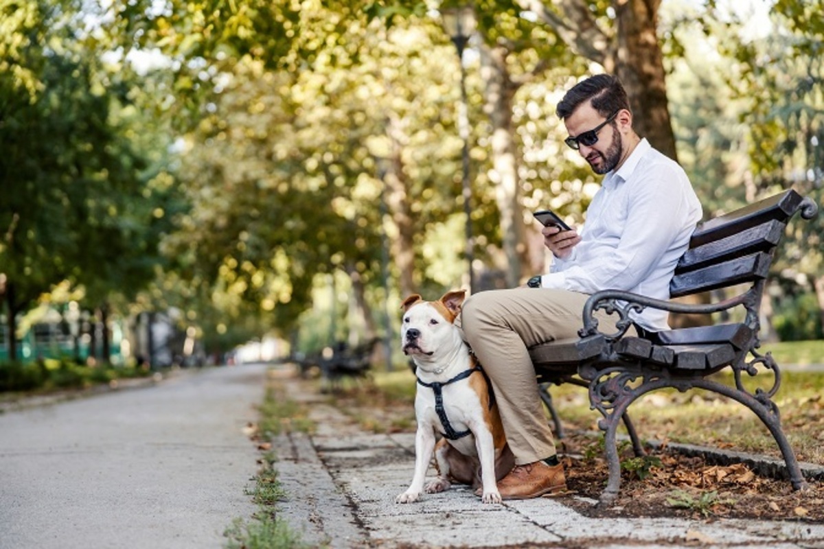 ベンチで休む　犬と飼い主　イメージ
