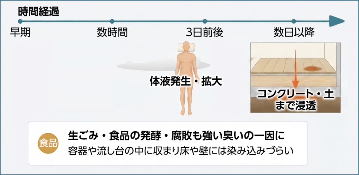 孤独死の臭いが発生する経過時間と浸透深度