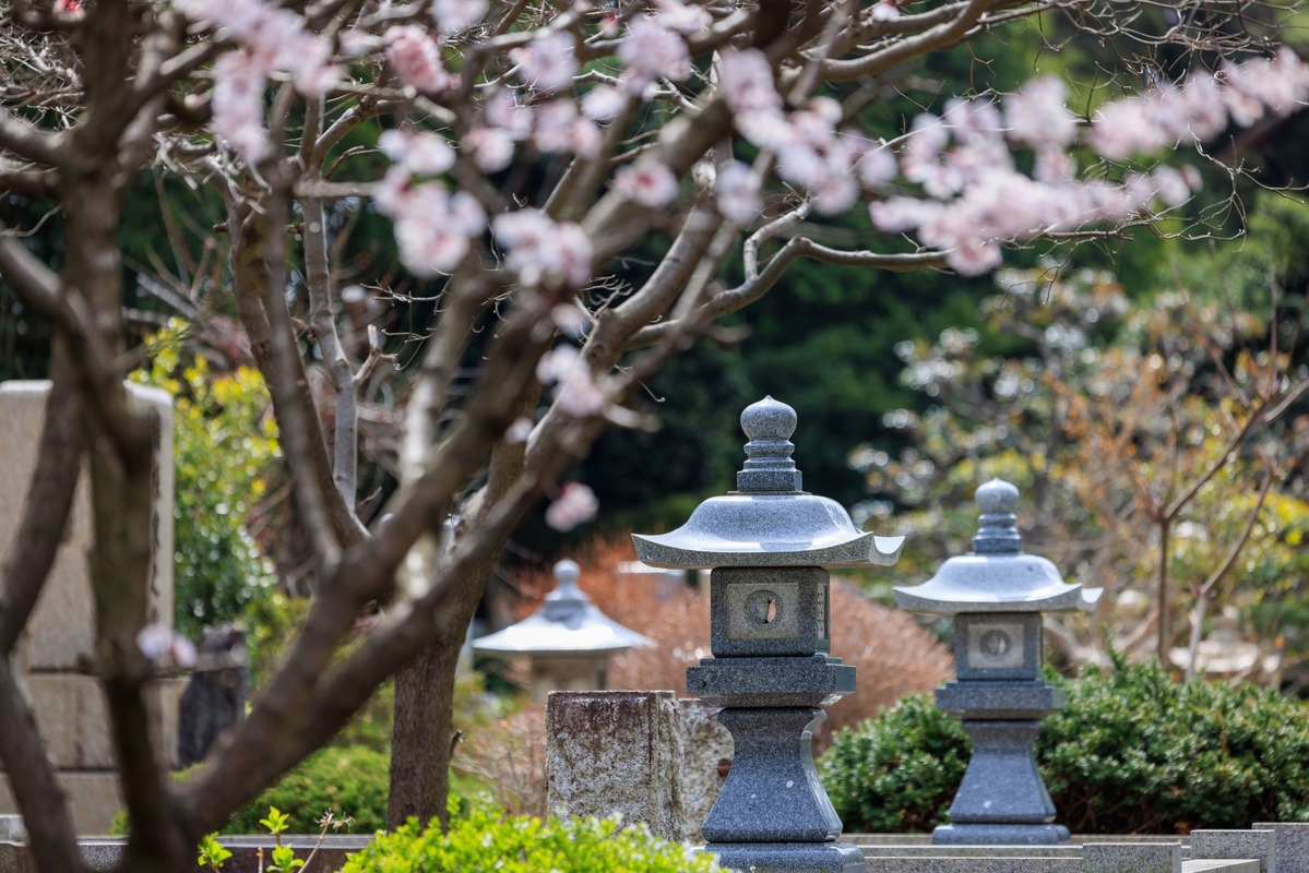 【2024年】春のお彼岸はいつからいつまで?期間中にやることや墓参りのマナーを解説 | ひとたび