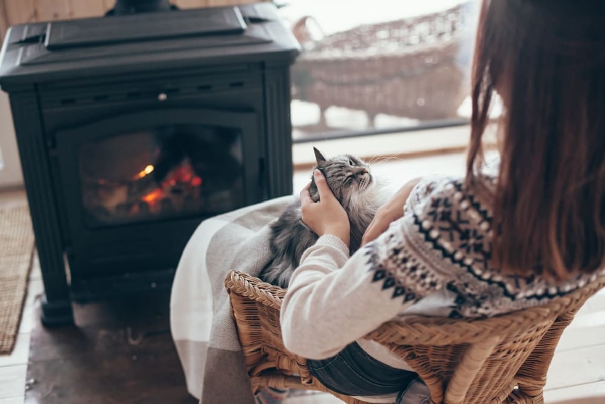 猫と一緒に暖炉で暖まる女性