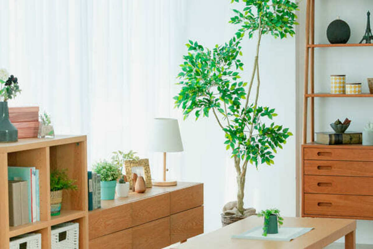 新生活のリビング