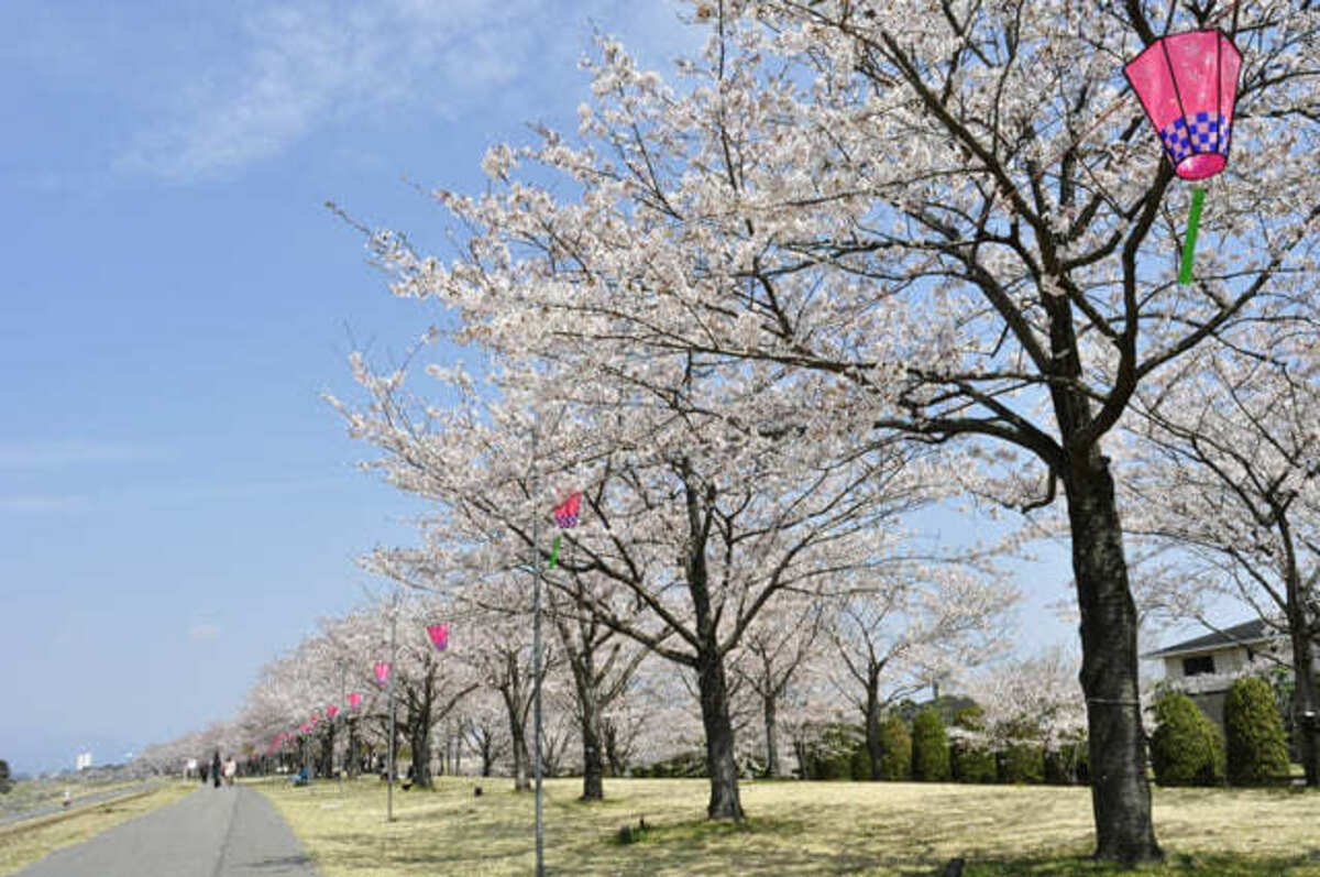 氏家ゆうゆうパーク