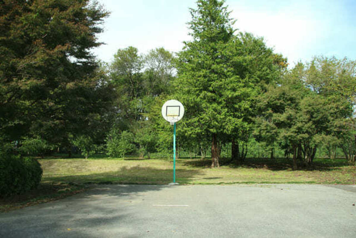 みずほの自然の森公園