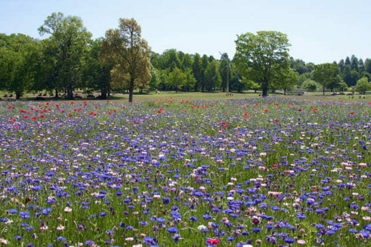 とちぎわんぱく公園