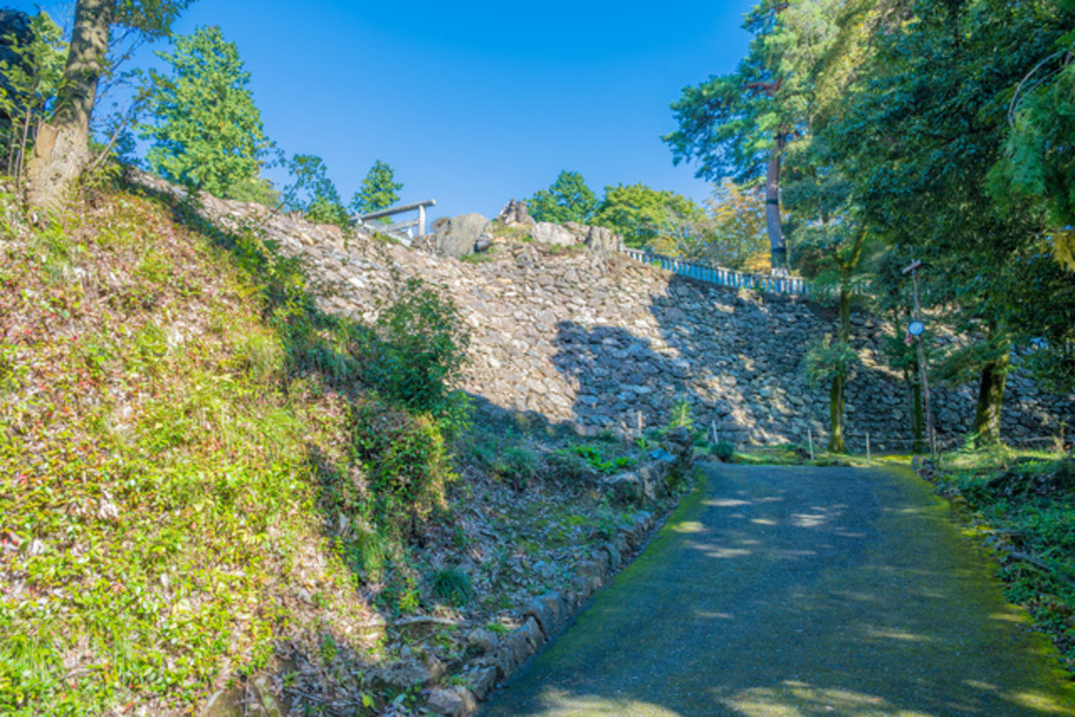 唐沢山城跡