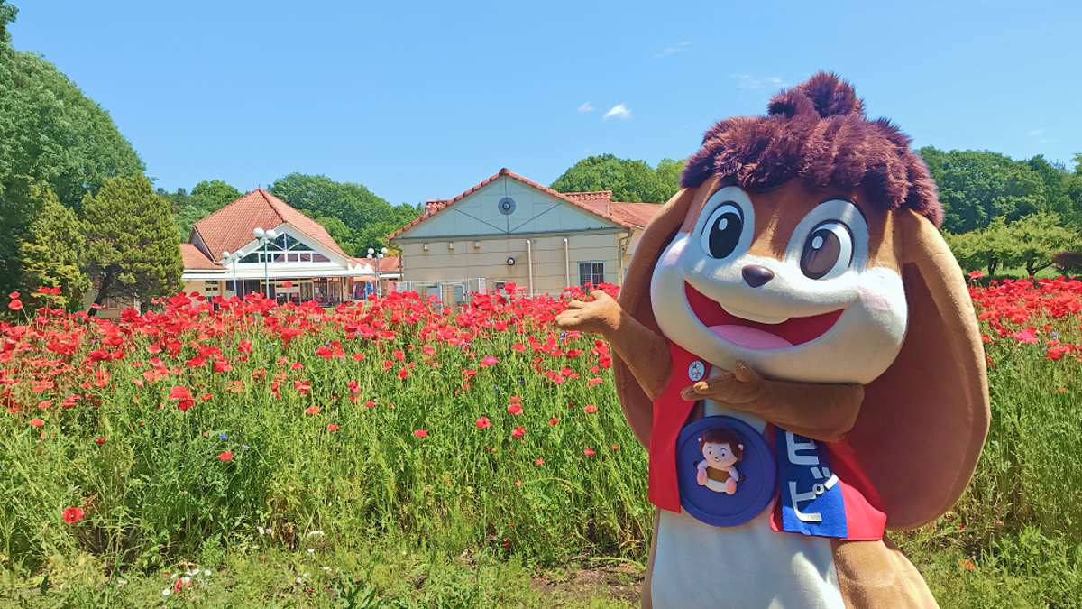 とちぎわんぱく公園