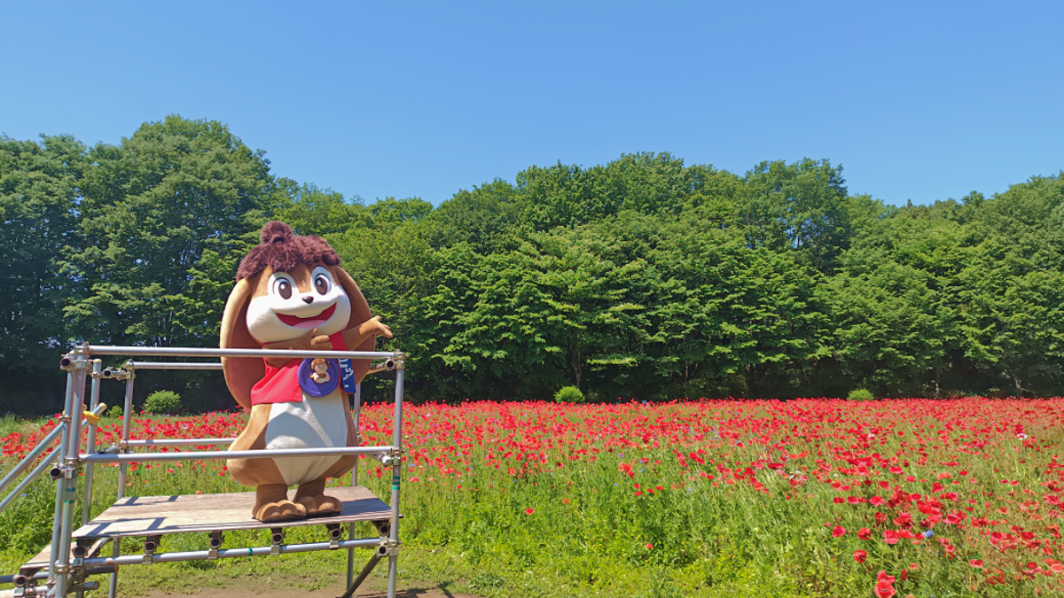 とちぎわんぱく公園