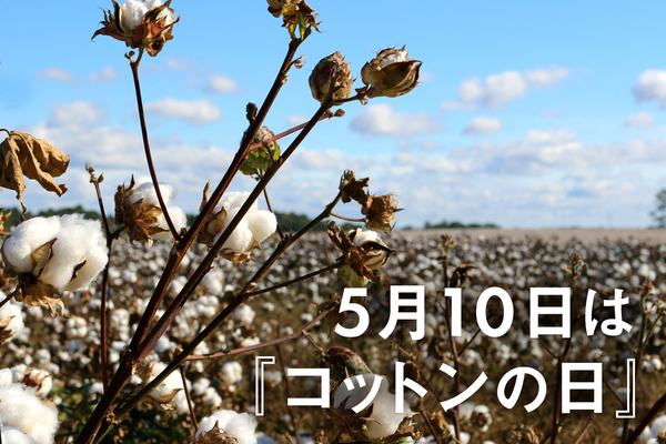 5月10日『コットンの日』 | 読む、鎌倉シャツ